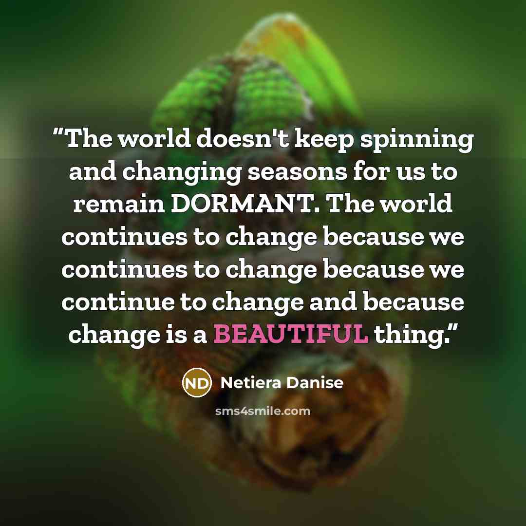 “The world doesn't keep spinning and changing seasons for us to remain DORMANT. The world continues to change because we continues to change because we continue to change and because change is a BEAUTIFUL thing.” quote by Netiera Danise