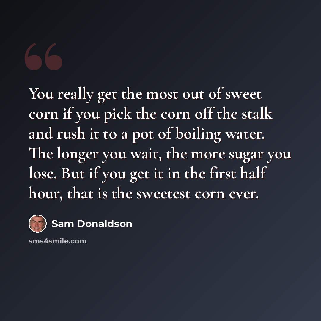 “You really get the most out of sweet corn if you pick the corn off the stalk and rush it to a pot of boiling water. The longer you wait, the more sugar you lose. But if you get it in the first half hour, that is the sweetest corn ever.” quote by Sam Donaldson