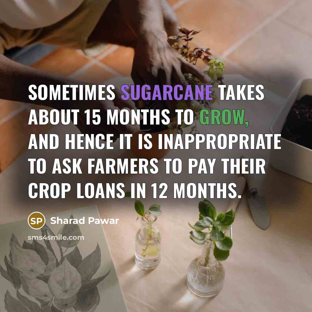“Sometimes sugarcane takes about 15 months to grow, and hence it is inappropriate to ask farmers to pay their crop loans in 12 months.” quote by Sharad Pawar