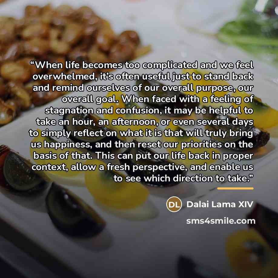 “When life becomes too complicated and we feel overwhelmed, it’s often useful just to stand back and remind ourselves of our overall purpose, our overall goal. When faced with a feeling of stagnation and confusion, it may be helpful to take an hour, an afternoon, or even several days to simply…” quote by Dalai Lama XIV