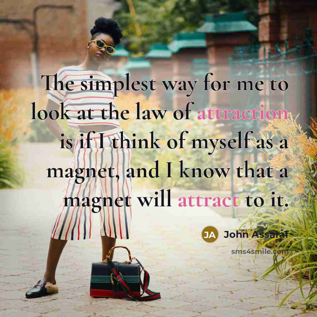 “The simplest way for me to look at the law of attraction is if I think of myself as a magnet, and I know that a magnet will attract to it.” quote by John Assaraf