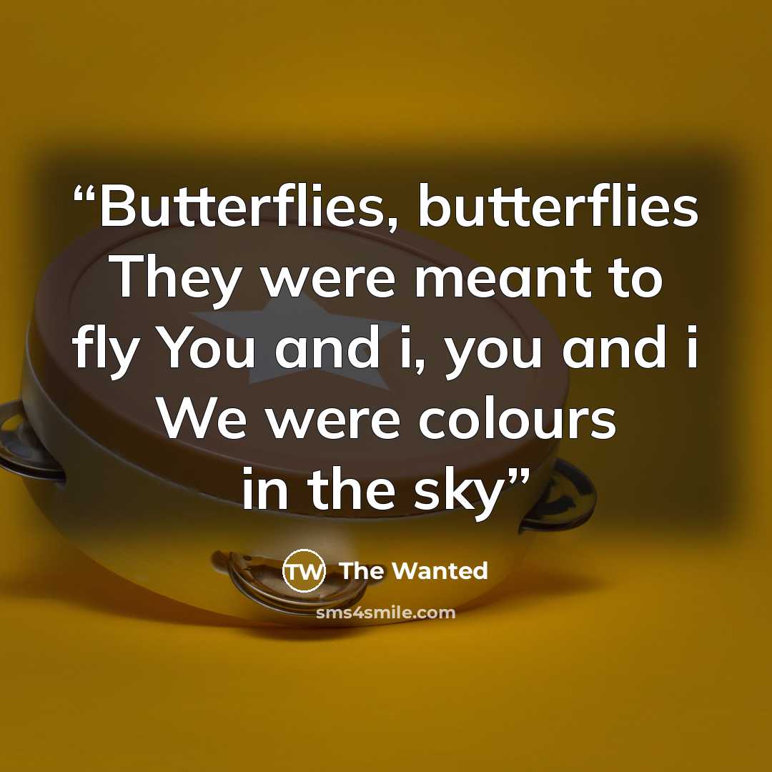 “Butterflies, butterflies They were meant to fly You and i, you and i We were colours in the sky” quote by The Wanted