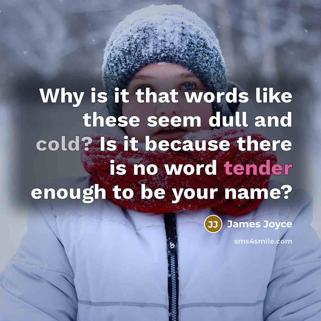 “Why is it that words like these seem dull and cold? Is it because there is no word tender enough to be your name?” quote by James Joyce