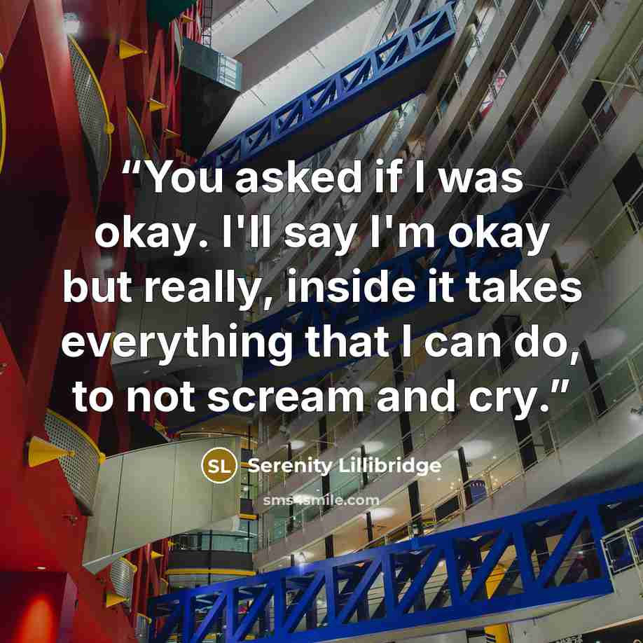 “You asked if I was okay. I'll say I'm okay but really, inside it takes everything that I can do, to not scream and cry.” quote by Serenity Lillibridge
