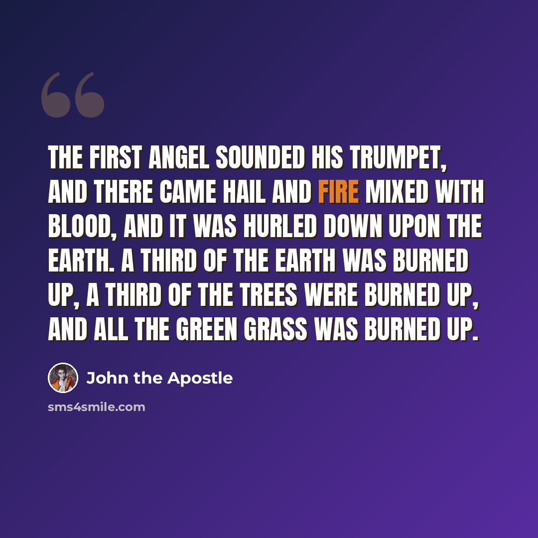 “The first angel sounded his trumpet, and there came hail and fire mixed with blood, and it was hurled down upon the earth. A third of the earth was burned up, a third of the trees were burned up, and all the green grass was burned up.” quote by John the Apostle
