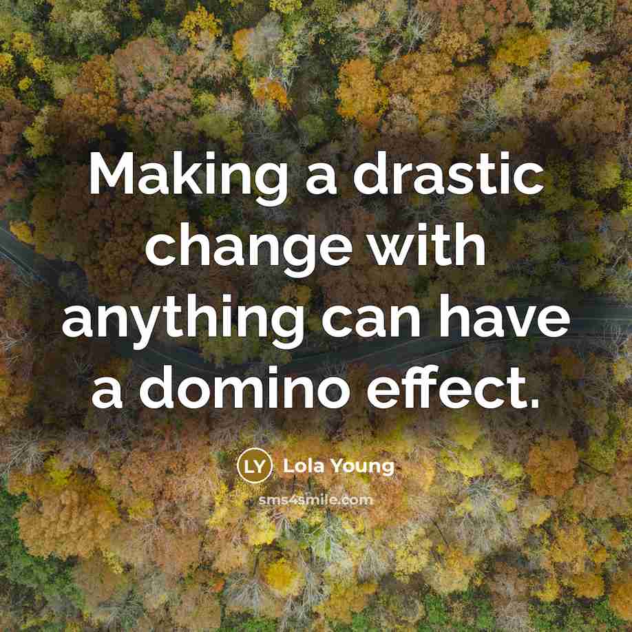 “Making a drastic change with anything can have a domino effect.” quote by Lola Young