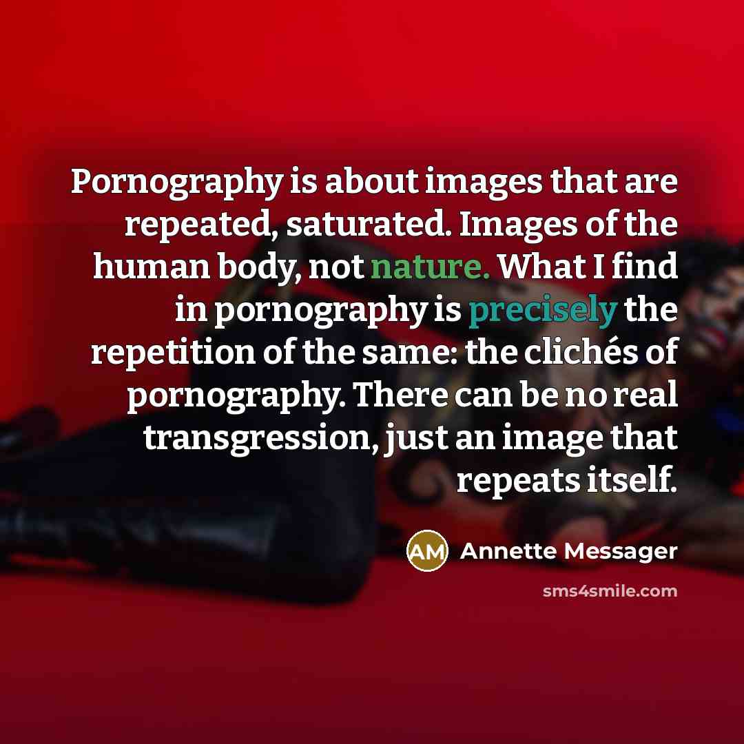 “Pornography is about images that are repeated, saturated. Images of the human body, not nature. What I find in pornography is precisely the repetition of the same: the clichés of pornography. There can be no real transgression, just an image that repeats itself.” quote by Annette Messager