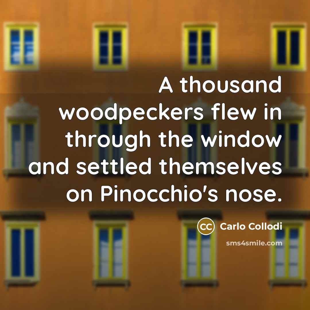 “A thousand woodpeckers flew in through the window and settled themselves on Pinocchio's nose.” quote by Carlo Collodi