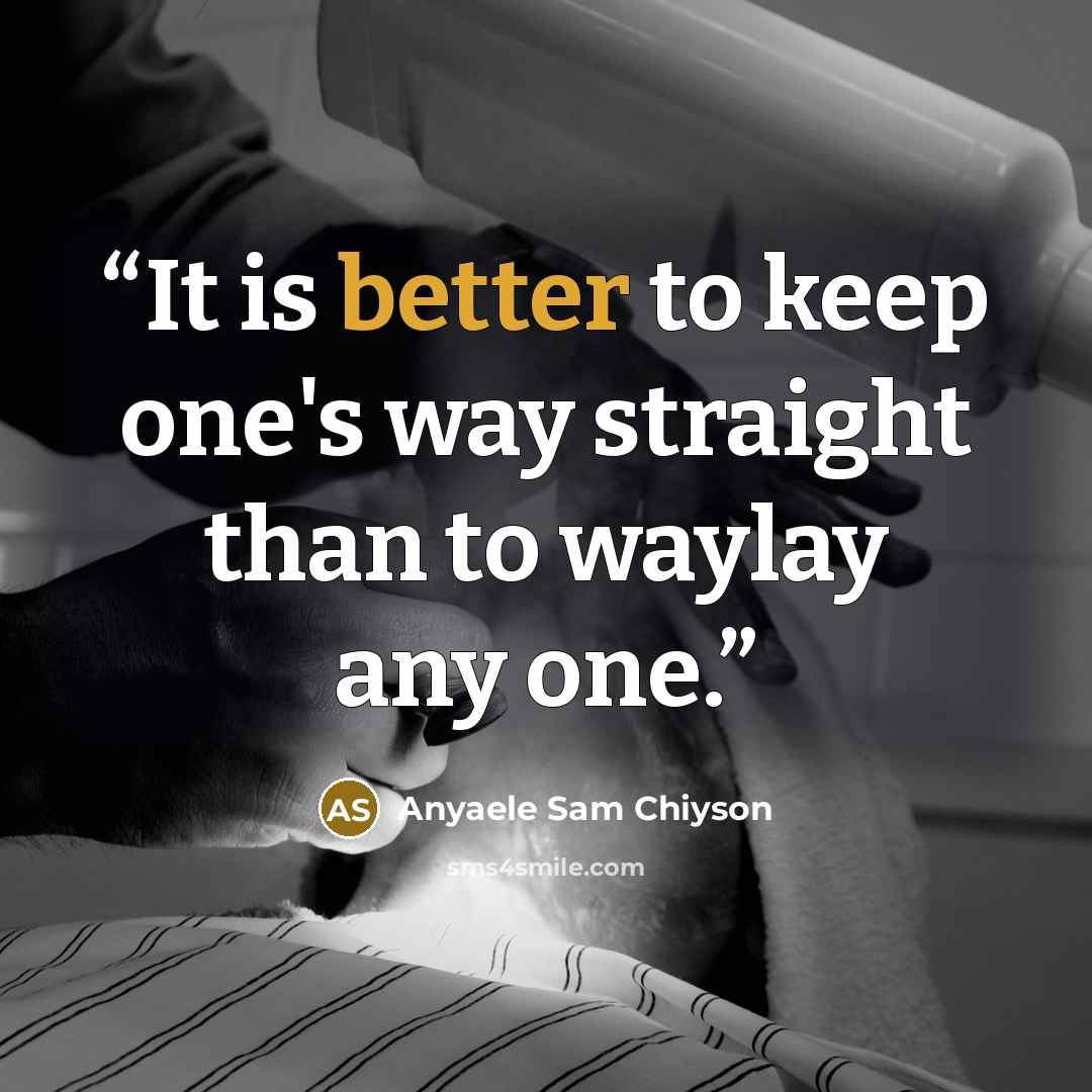 “It is better to keep one's way straight than to waylay any one.” quote by Anyaele Sam Chiyson