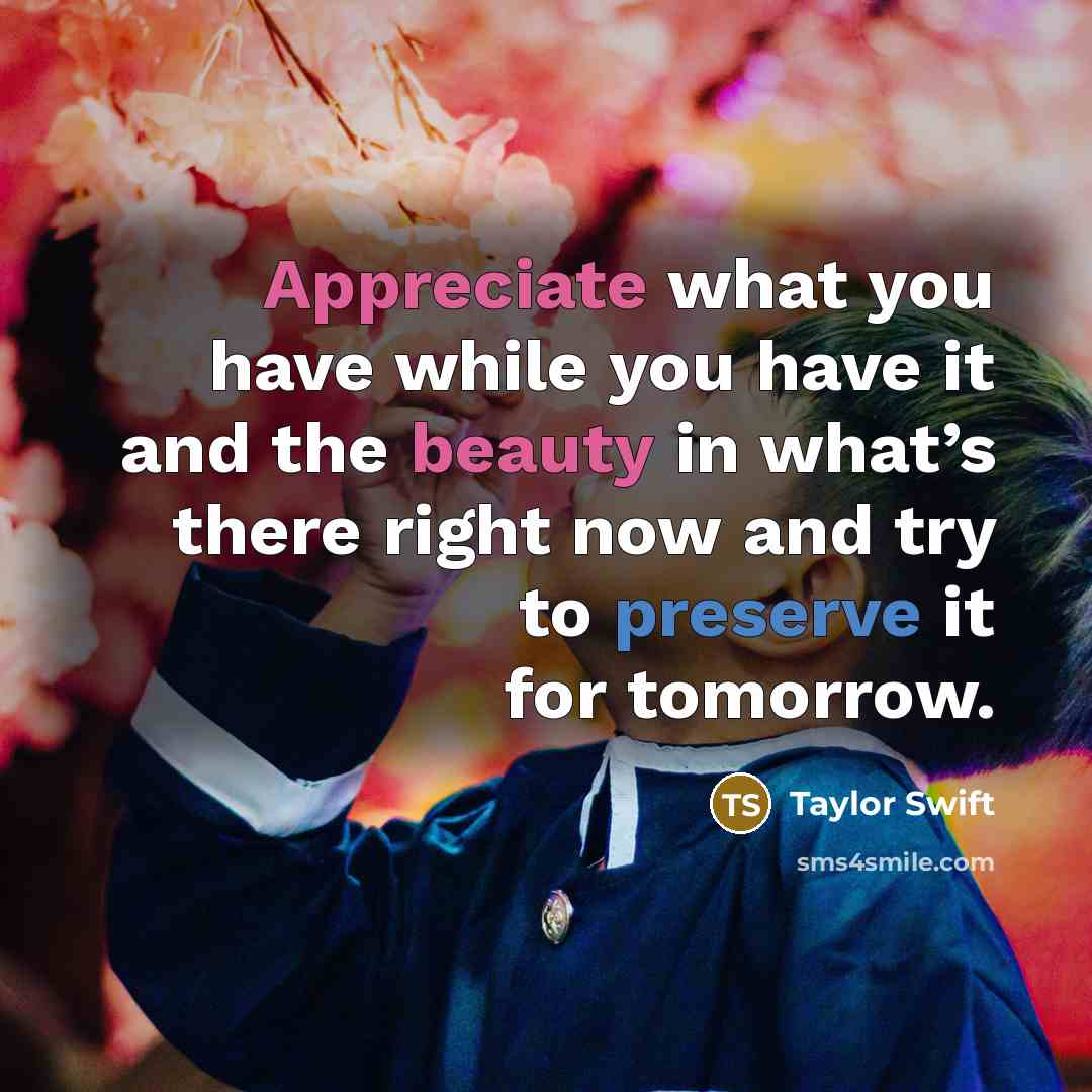 “Appreciate what you have while you have it and the beauty in what’s there right now and try to preserve it for tomorrow.” quote by Taylor Swift