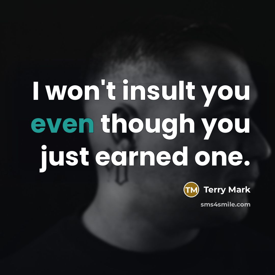 “I won't insult you even though you just earned one.” quote by Terry Mark
