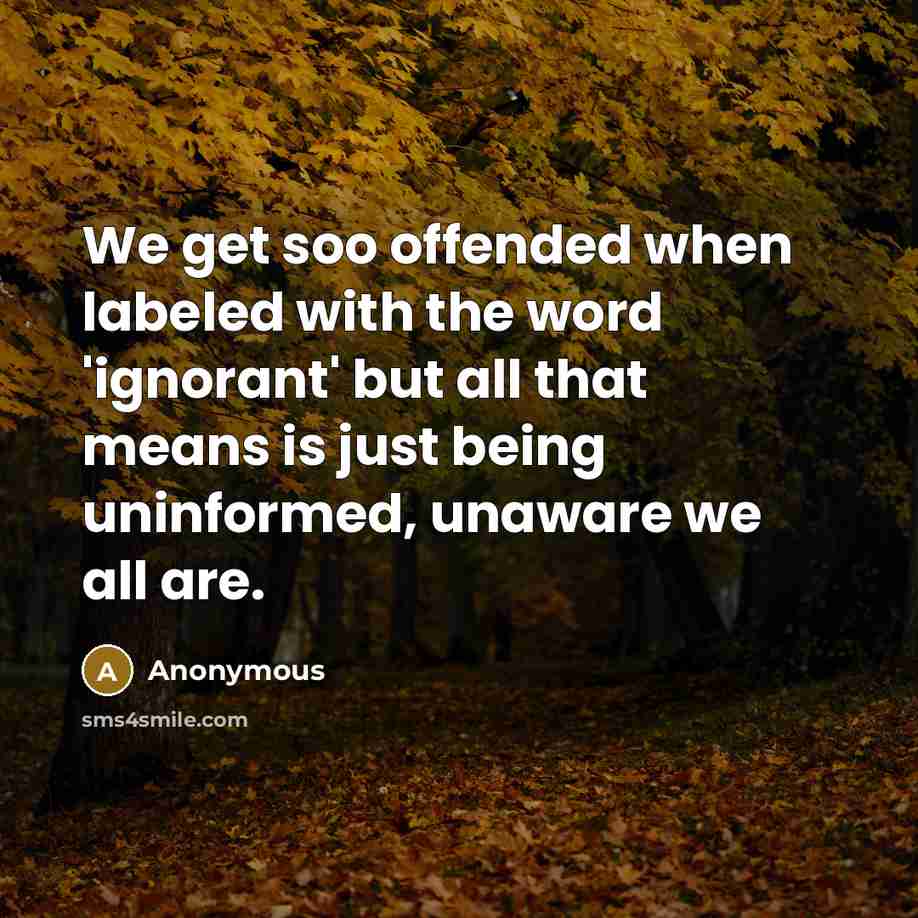 “We get soo offended when labeled with the word 'ignorant' but all that means is just being uninformed, unaware we all are.” quote by Anonymous