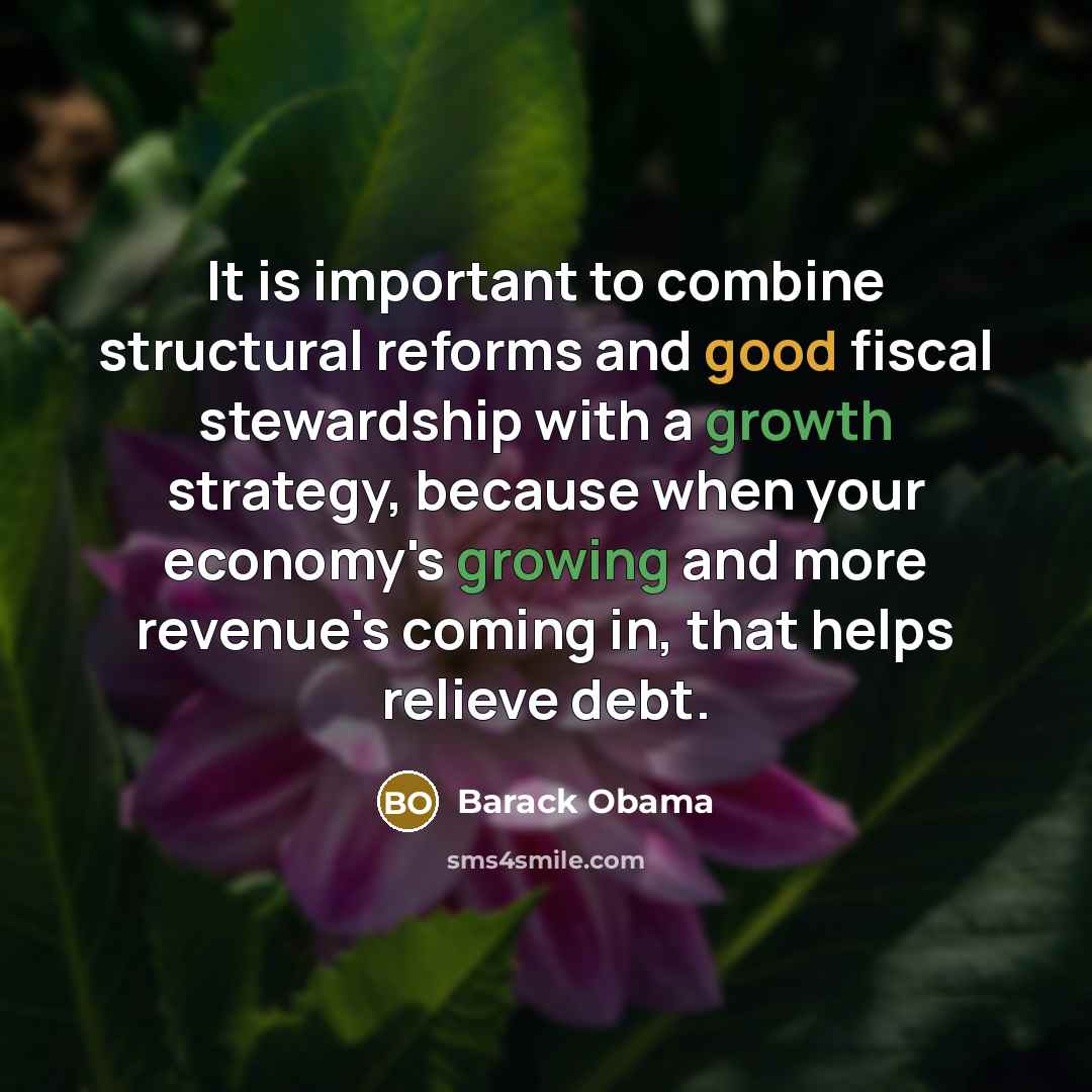 “It is important to combine structural reforms and good fiscal stewardship with a growth strategy, because when your economy's growing and more revenue's coming in, that helps relieve debt.” quote by Barack Obama