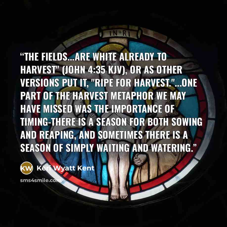 “The fields...are white already to harvest" (John 4:35 KJV), or as other versions put it, "ripe for harvest."...One part of the harvest metaphor we may have missed was the importance of timing-there is a season for both sowing and reaping, and sometimes there is a season of simply waiting and…” quote by Keri Wyatt Kent