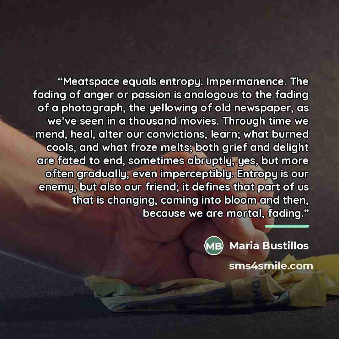 “Meatspace equals entropy. Impermanence. The fading of anger or passion is analogous to the fading of a photograph, the yellowing of old newspaper, as we’ve seen in a thousand movies. Through time we mend, heal, alter our convictions, learn; what burned cools, and what froze melts; both grief and…” quote by Maria Bustillos