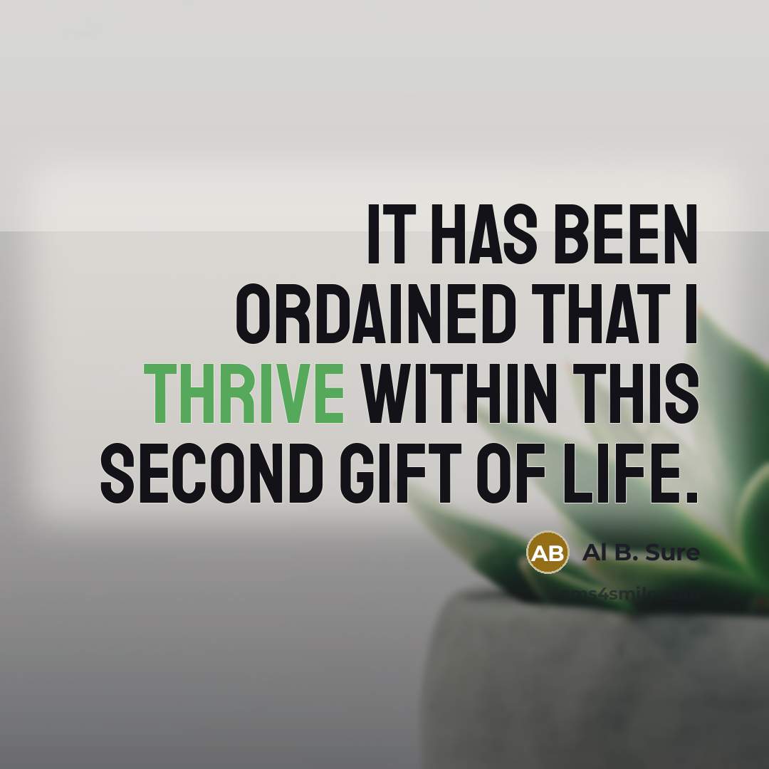 “It has been ordained that I thrive within this second gift of life.” quote by Al B. Sure