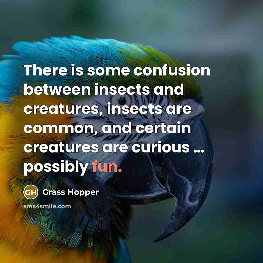 “There is some confusion between insects and creatures, insects are common, and certain creatures are curious … possibly fun.” quote by Grass Hopper