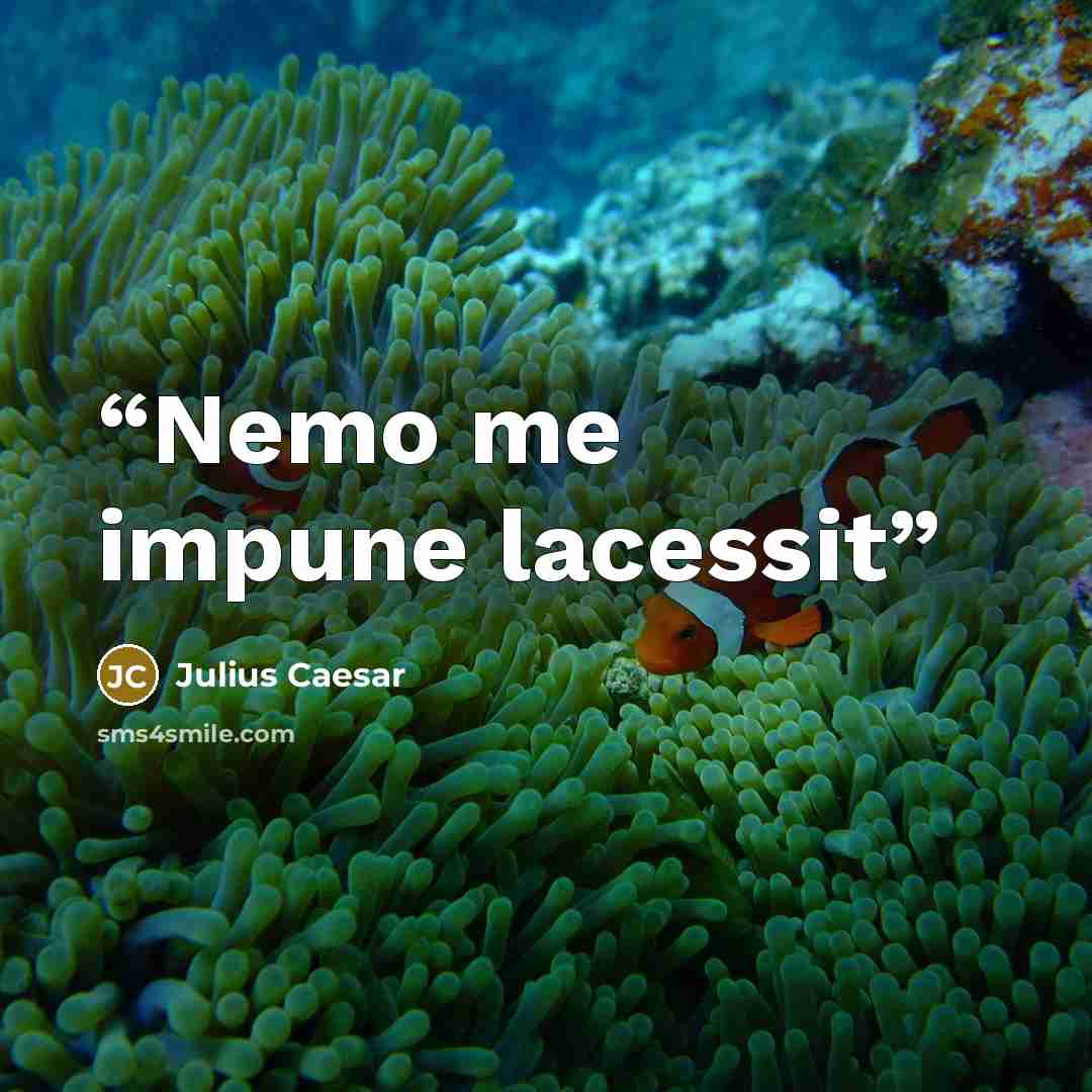 “Nemo me impune lacessit” quote by Julius Caesar