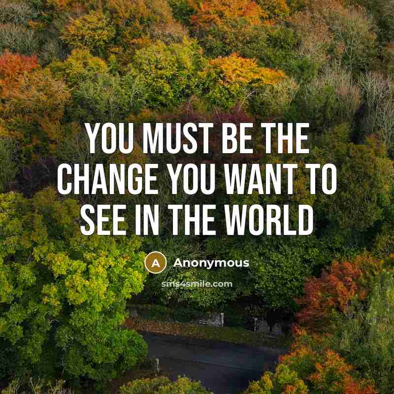 “You must be the change you want to see in the world” quote by Anonymous