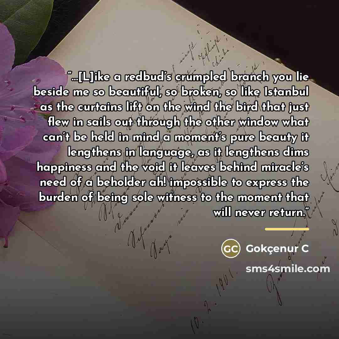 “…[L]ike a redbud’s crumpled branch you lie beside me so beautiful, so broken, so like Istanbul as the curtains lift on the wind the bird that just flew in sails out through the other window what can’t be held in mind―a moment’s pure beauty it lengthens in language, as it lengthens dims happiness…” quote by Gokçenur C