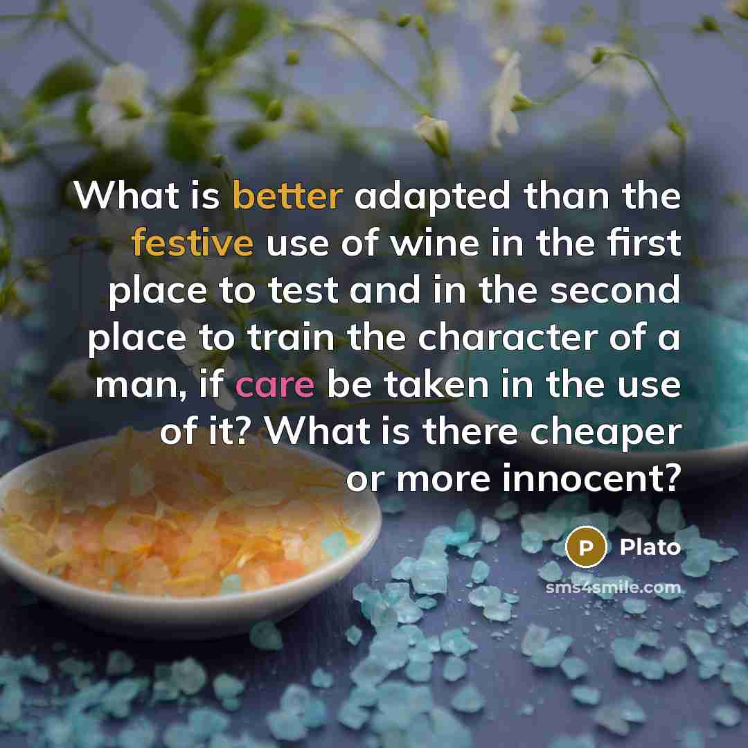 “What is better adapted than the festive use of wine in the first place to test and in the second place to train the character of a man, if care be taken in the use of it? What is there cheaper or more innocent?” quote by Plato