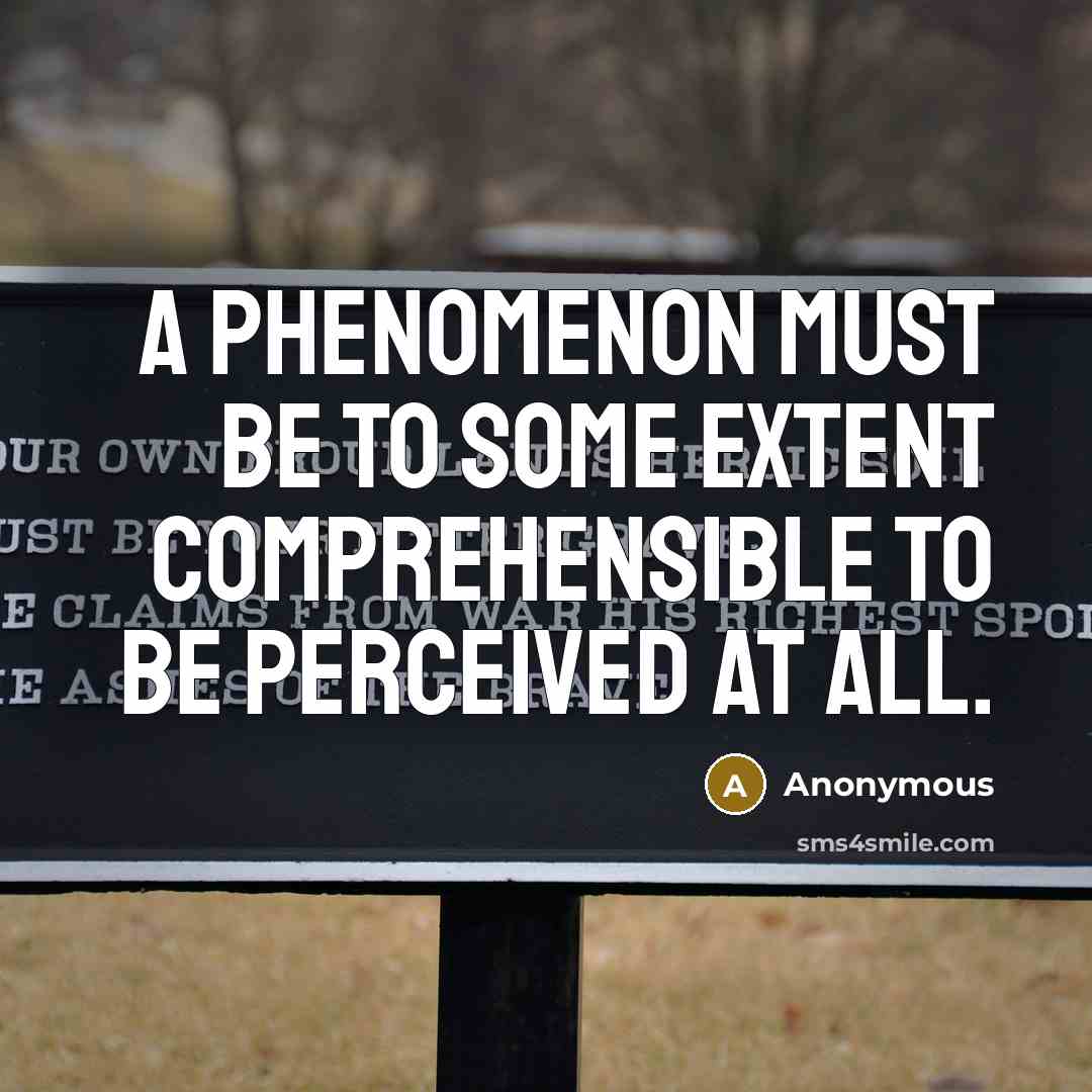 “A phenomenon must be to some extent comprehensible to be perceived at all.” quote by Anonymous