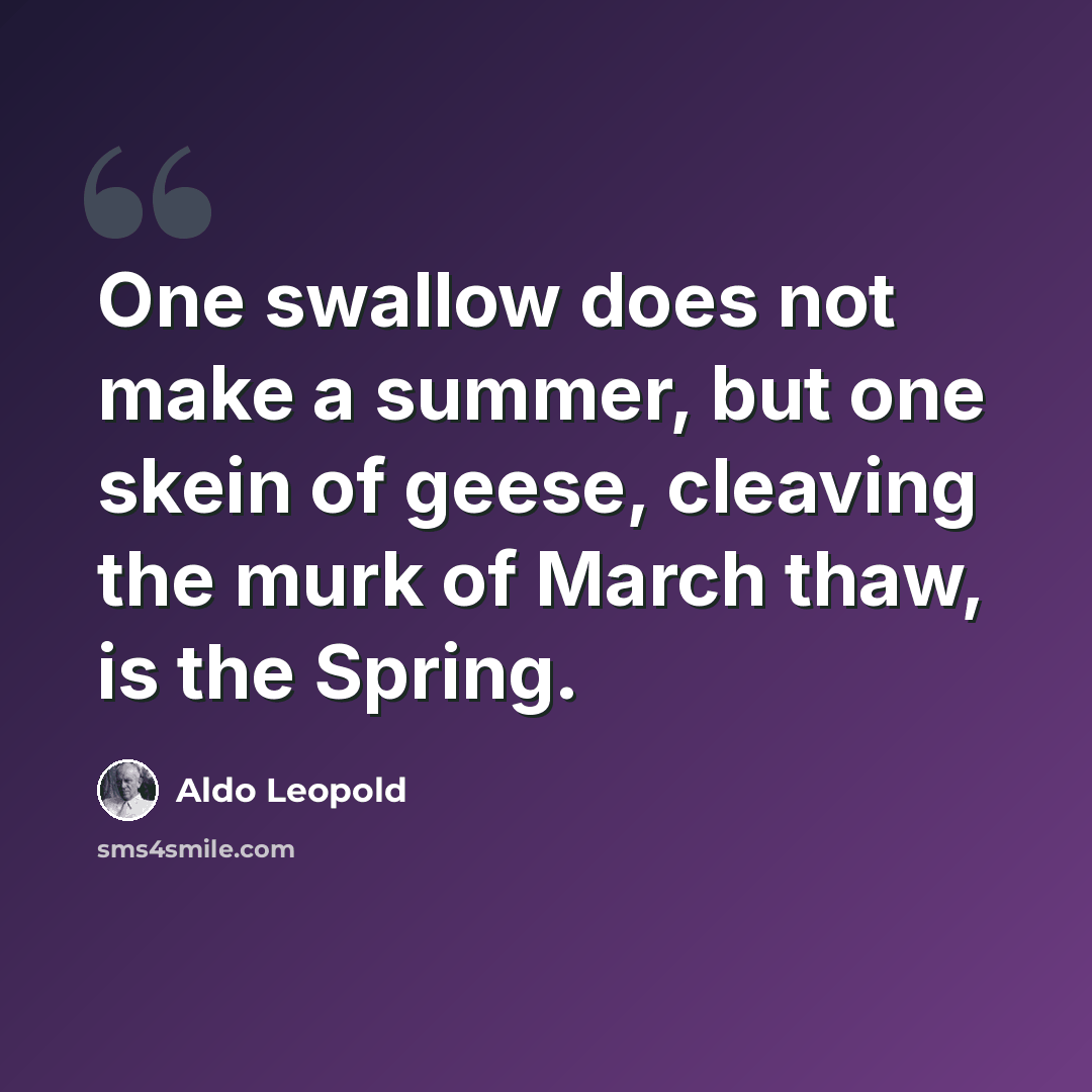 “One swallow does not make a summer, but one skein of geese, cleaving the murk of March thaw, is the Spring.” quote by Aldo Leopold