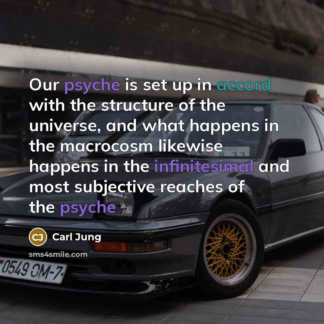 “Our psyche is set up in accord with the structure of the universe, and what happens in the macrocosm likewise happens in the infinitesimal and most subjective reaches of the psyche” quote by Carl Jung