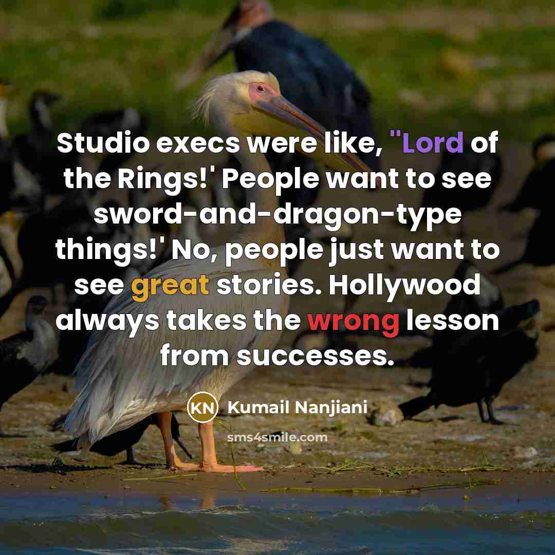 “Studio execs were like, ''Lord of the Rings!' People want to see sword-and-dragon-type things!' No, people just want to see great stories. Hollywood always takes the wrong lesson from successes.” quote by Kumail Nanjiani