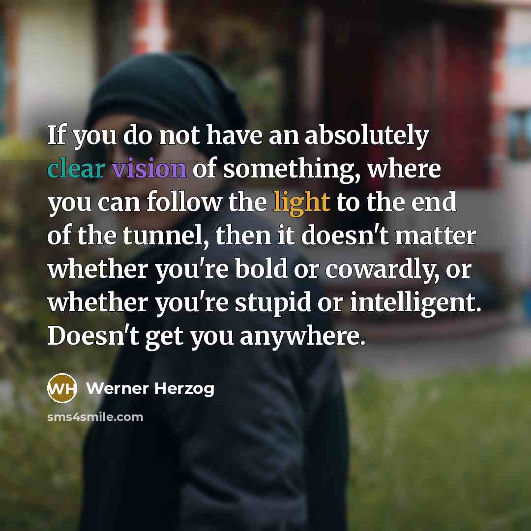 “If you do not have an absolutely clear vision of something, where you can follow the light to the end of the tunnel, then it doesn't matter whether you're bold or cowardly, or whether you're stupid or intelligent. Doesn't get you anywhere.” quote by Werner Herzog