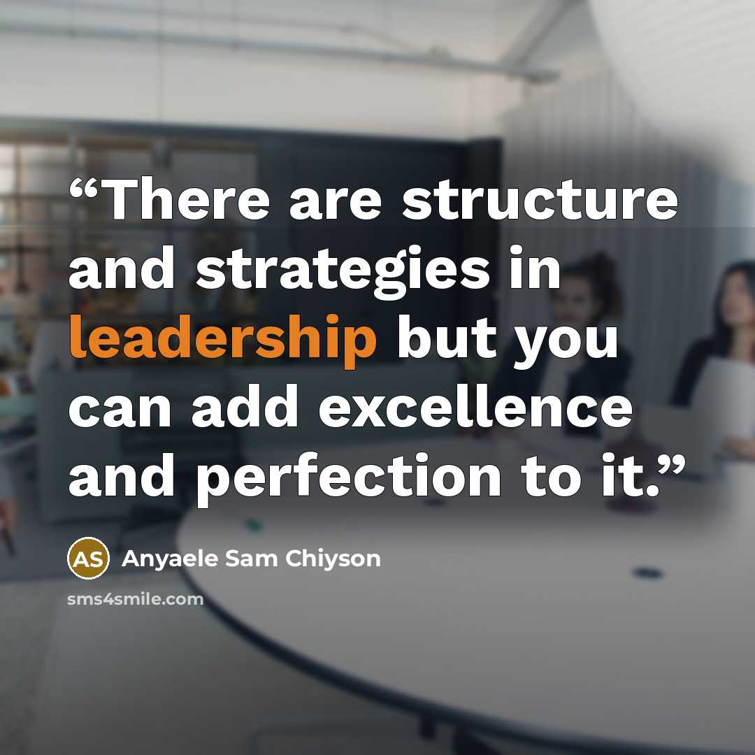 “There are structure and strategies in leadership but you can add excellence and perfection to it.” quote by Anyaele Sam Chiyson