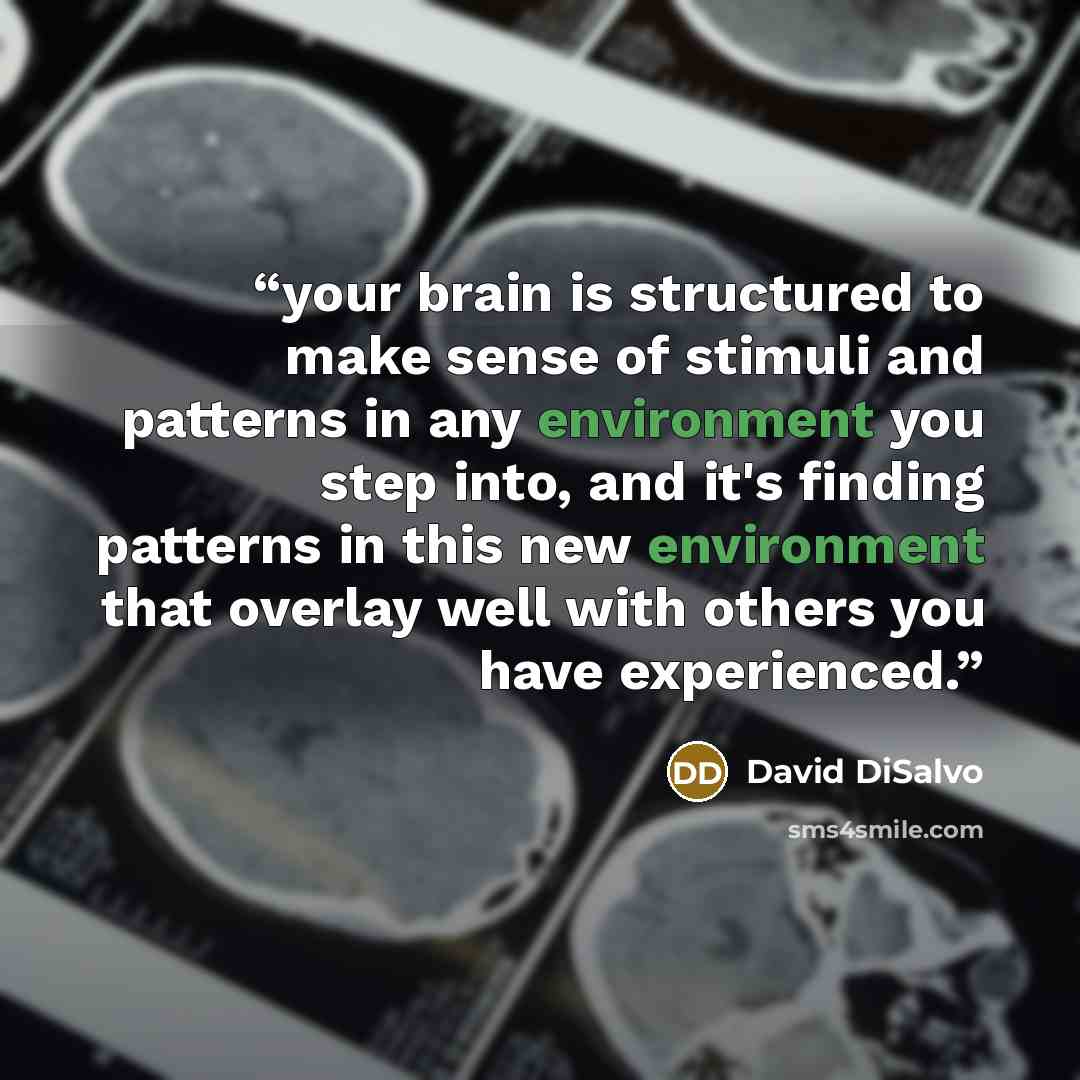 “your brain is structured to make sense of stimuli and patterns in any environment you step into, and it's finding patterns in this new environment that overlay well with others you have experienced.” quote by David DiSalvo