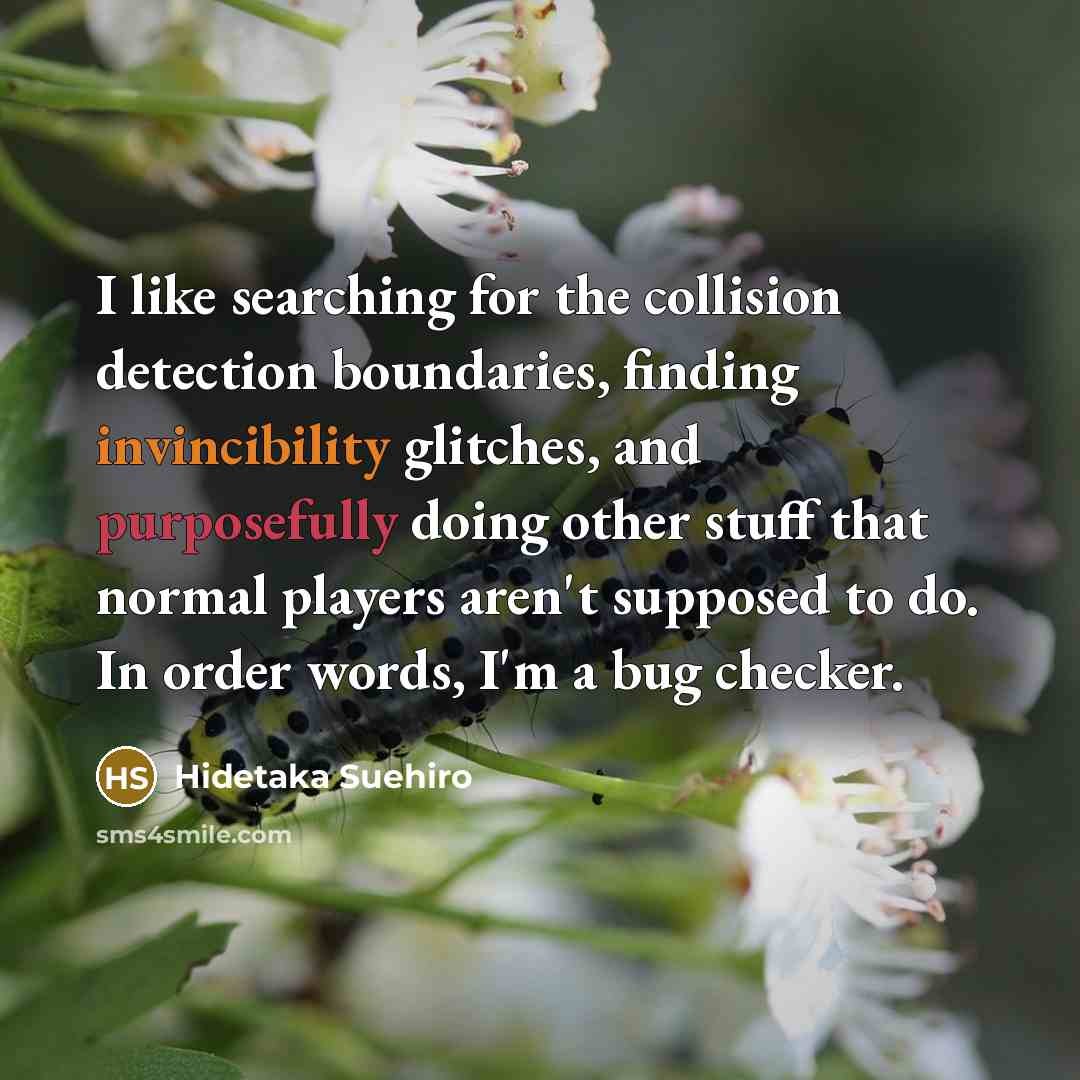 “I like searching for the collision detection boundaries, finding invincibility glitches, and purposefully doing other stuff that normal players aren't supposed to do. In order words, I'm a bug checker.” quote by Hidetaka Suehiro