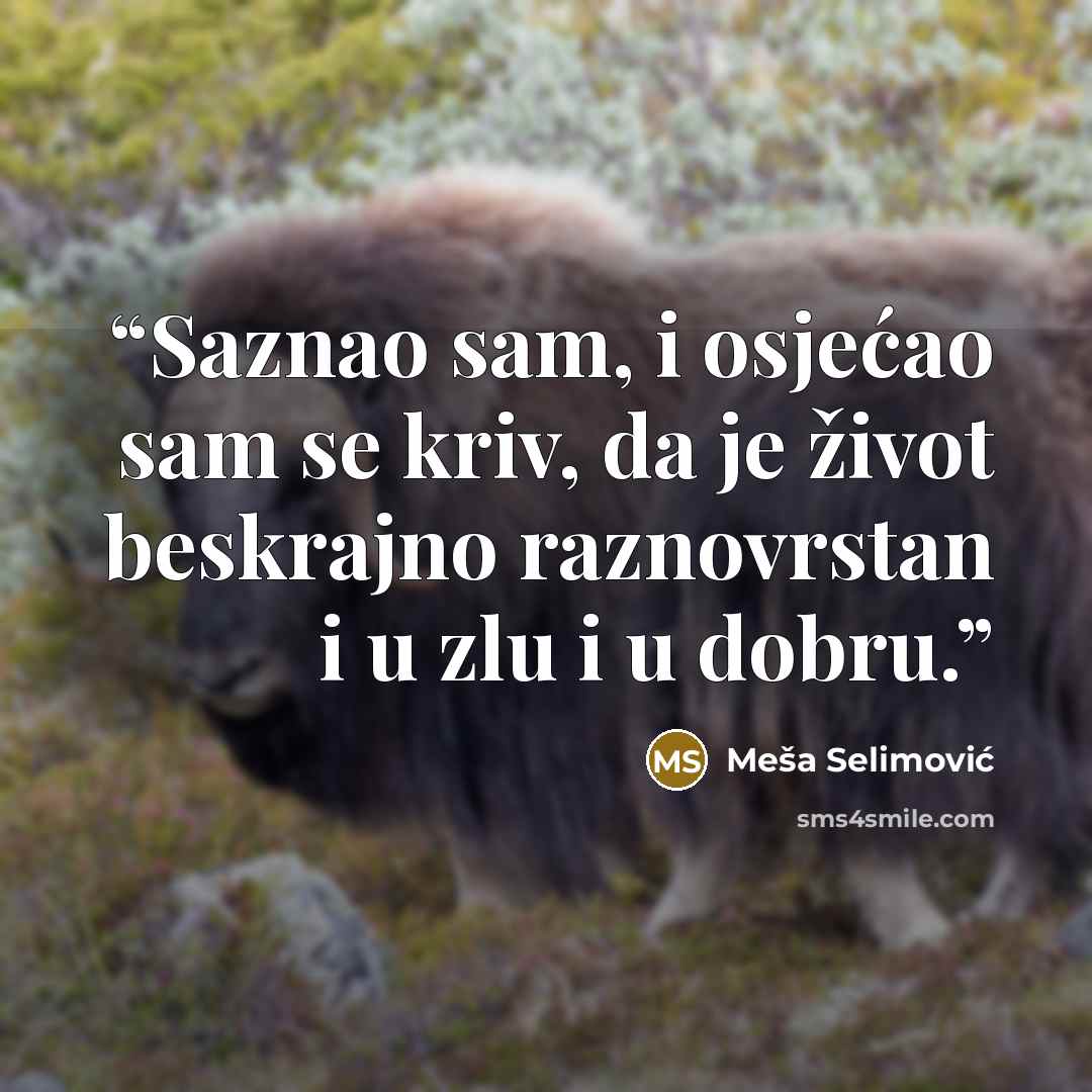 “Saznao sam, i osjećao sam se kriv, da je život beskrajno raznovrstan i u zlu i u dobru.” quote by Meša Selimović