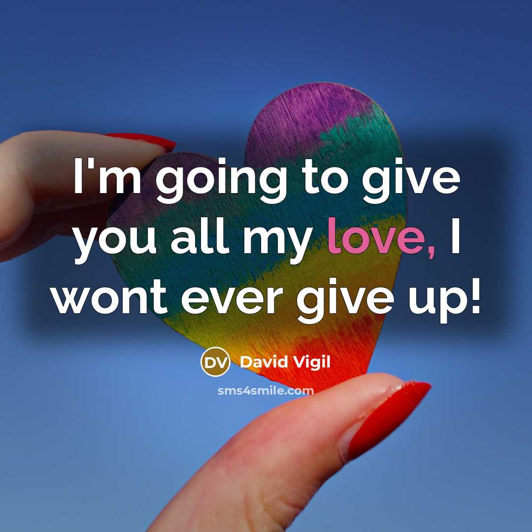 “I'm going to give you all my love, I wont ever give up!” quote by David Vigil