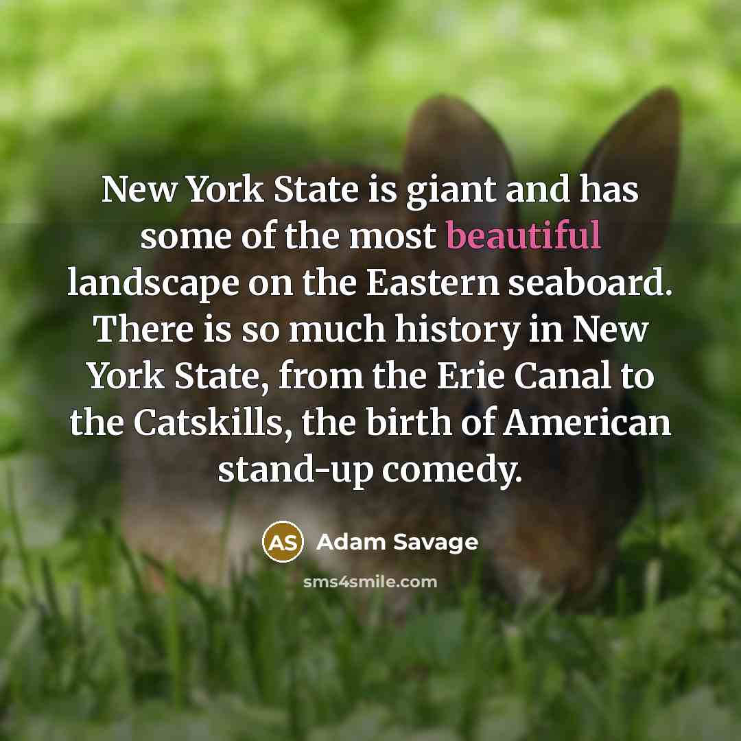“New York State is giant and has some of the…” quote by Adam Savage
