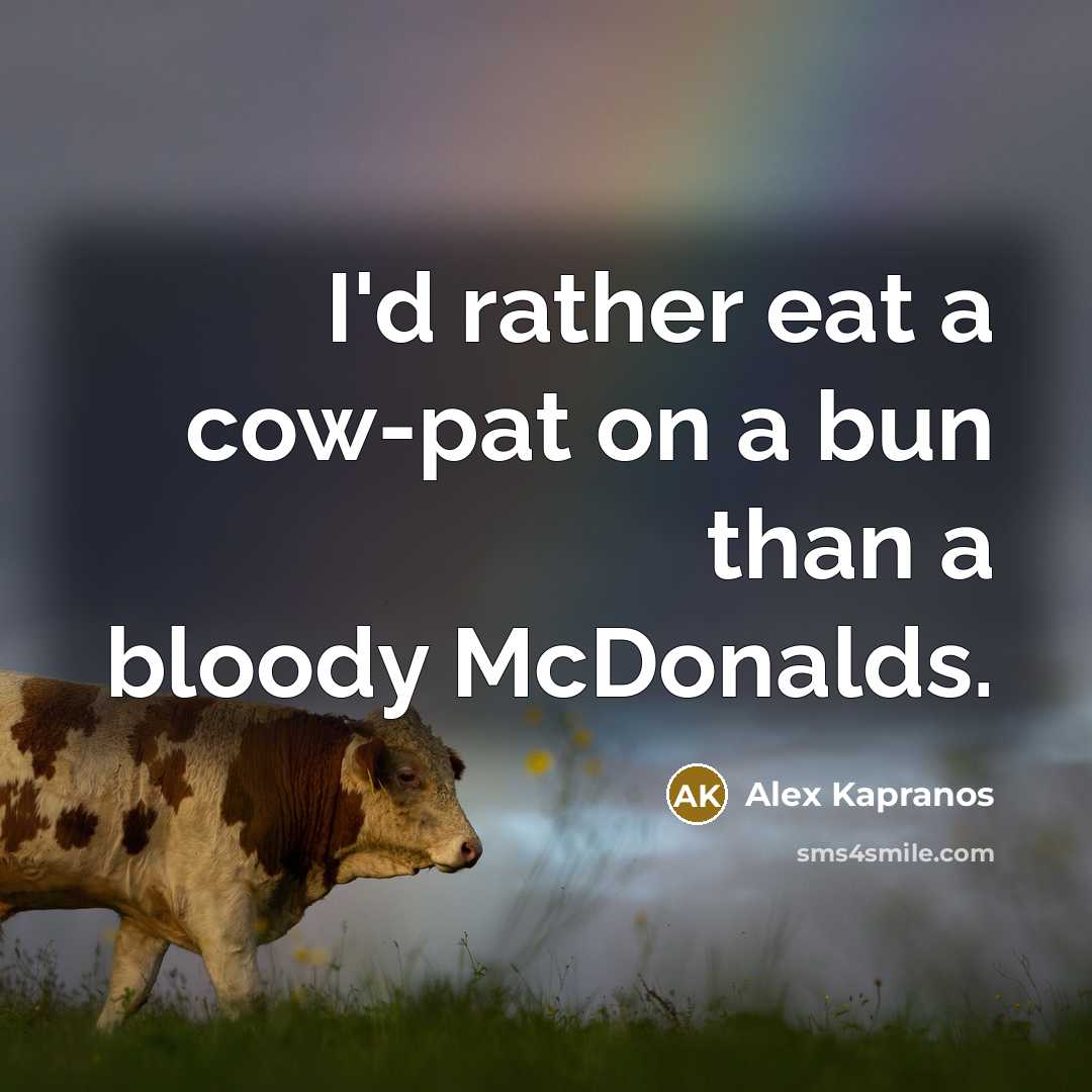 “I'd rather eat a cow-pat on a bun than a…” quote by Alex Kapranos