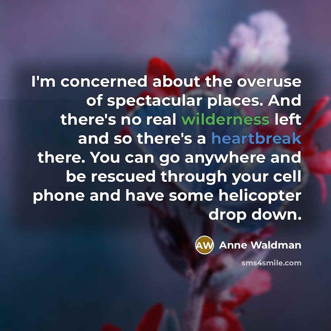 “I'm concerned about the overuse of spectacular places. And there's…” quote by Anne Waldman