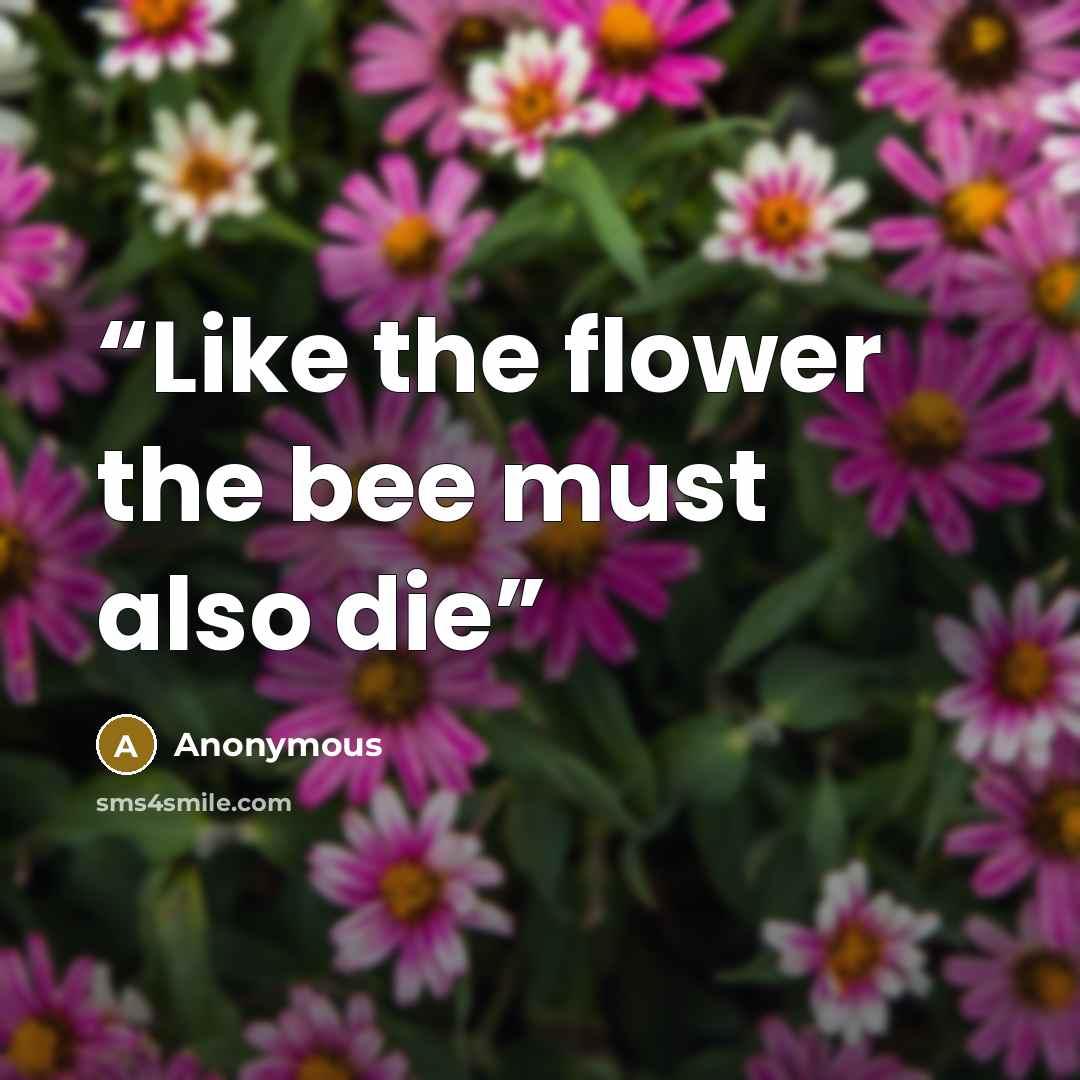 “Like the flower the bee must also die” quote by Anonymous