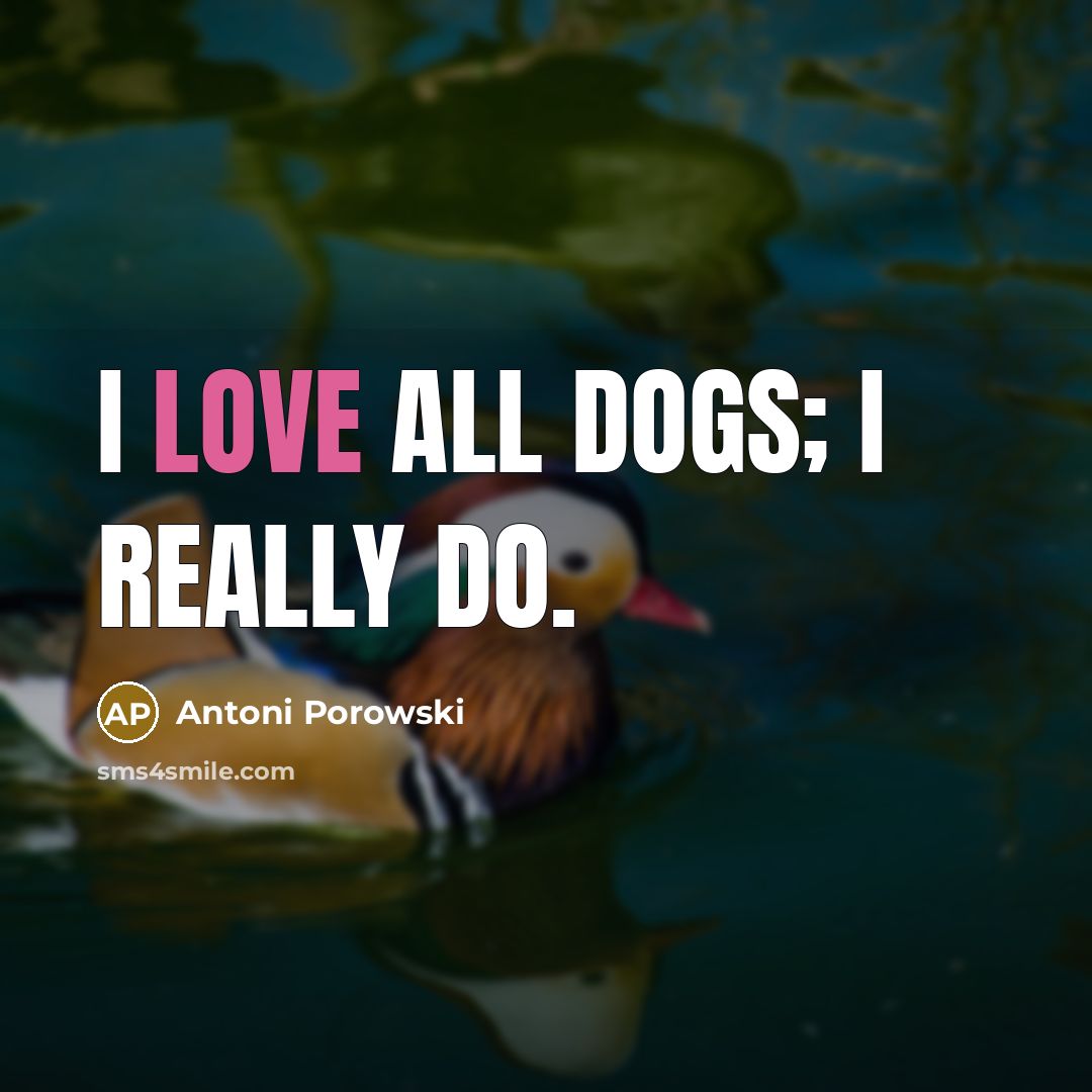 “I love all dogs; I really do.” quote by Antoni Porowski