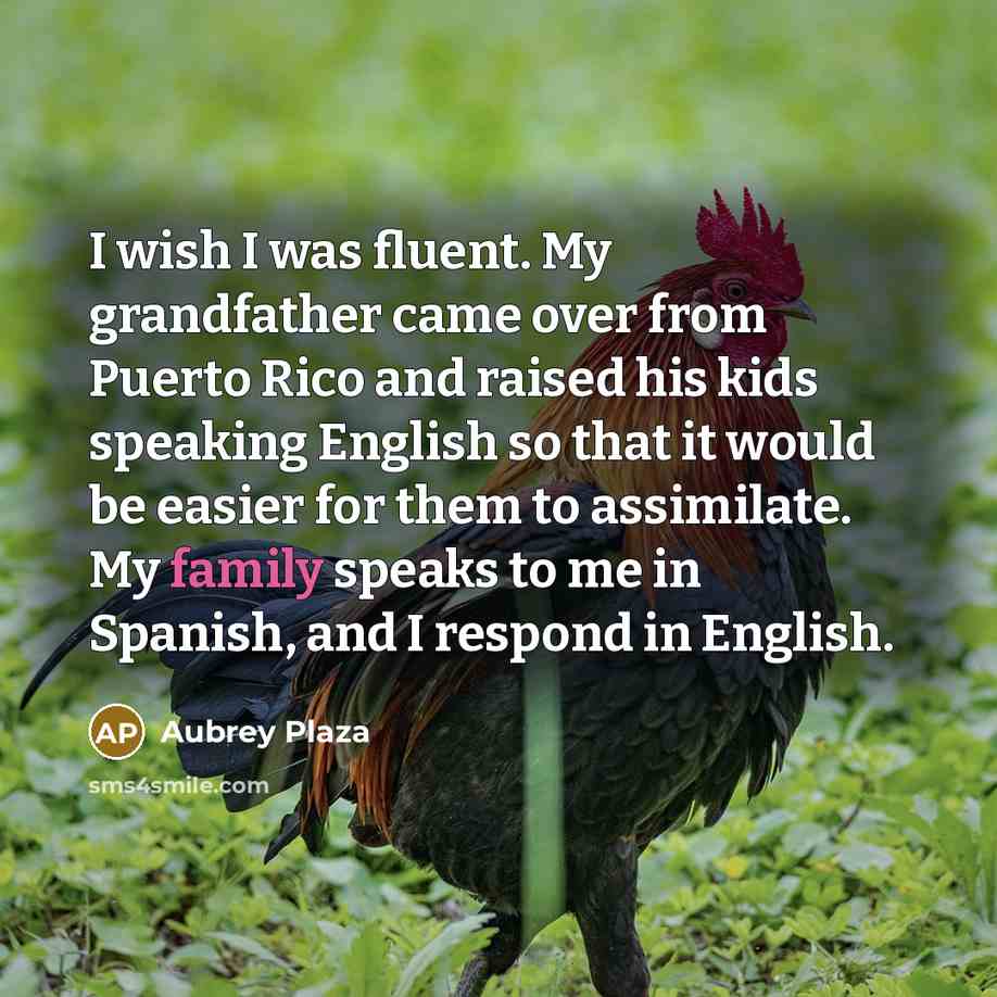 “I wish I was fluent. My grandfather came over from…” quote by Aubrey Plaza