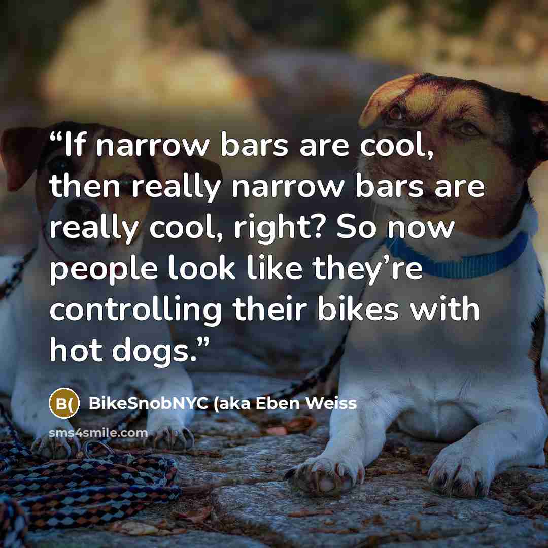 “If narrow bars are cool, then really narrow bars are really cool, right? So now people look like they’re controlling their bikes with hot dogs.” quote by BikeSnobNYC (aka Eben Weiss