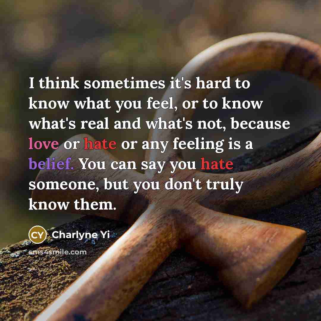 “I think sometimes it's hard to know what you feel,…” quote by Charlyne Yi