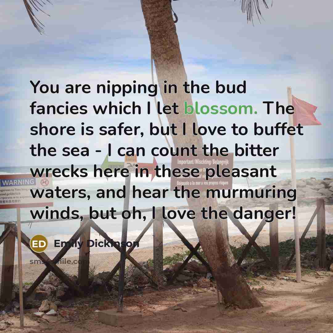 “You are nipping in the bud fancies which I let…” quote by Emily Dickinson