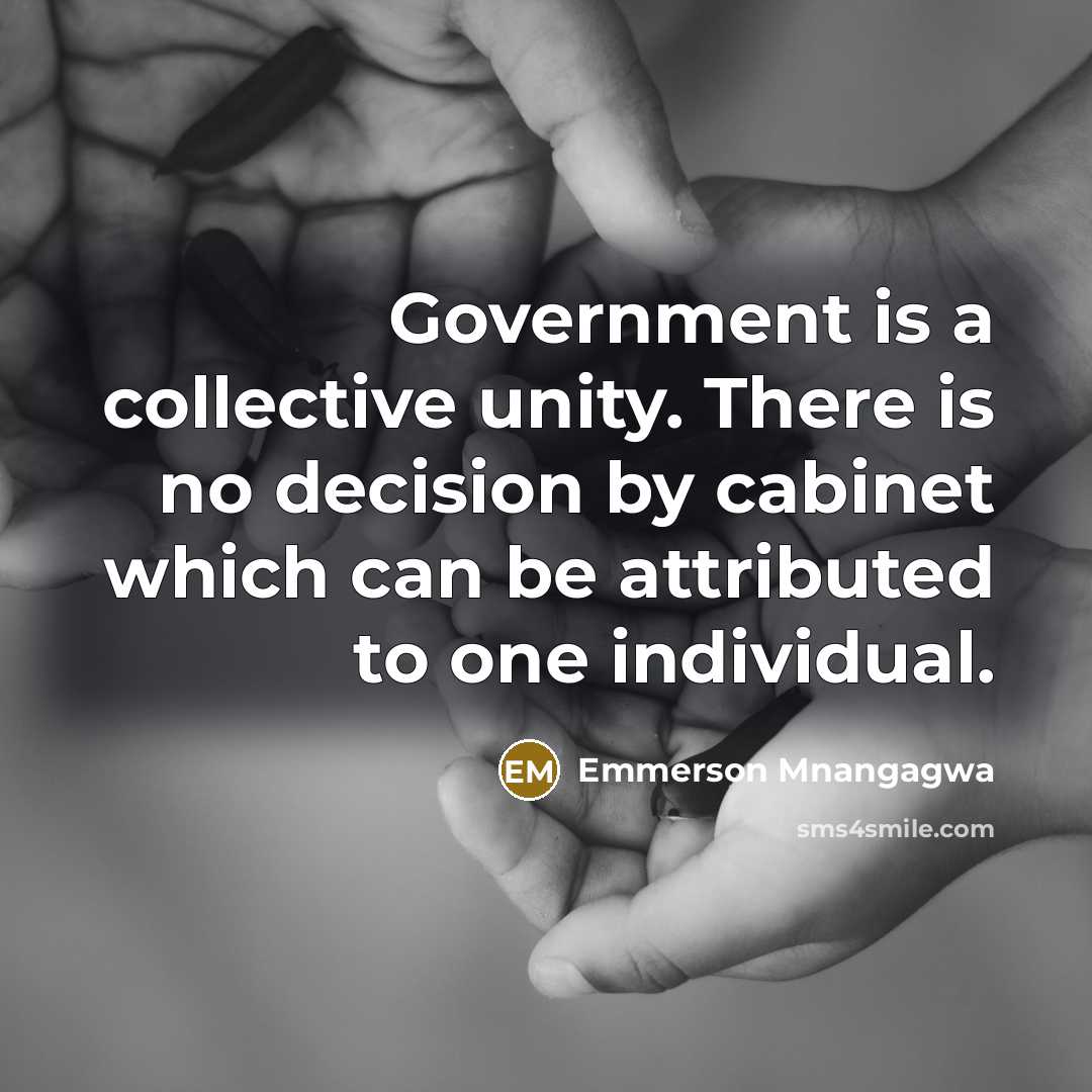 “Government is a collective unity. There is no decision by…” quote by Emmerson Mnangagwa