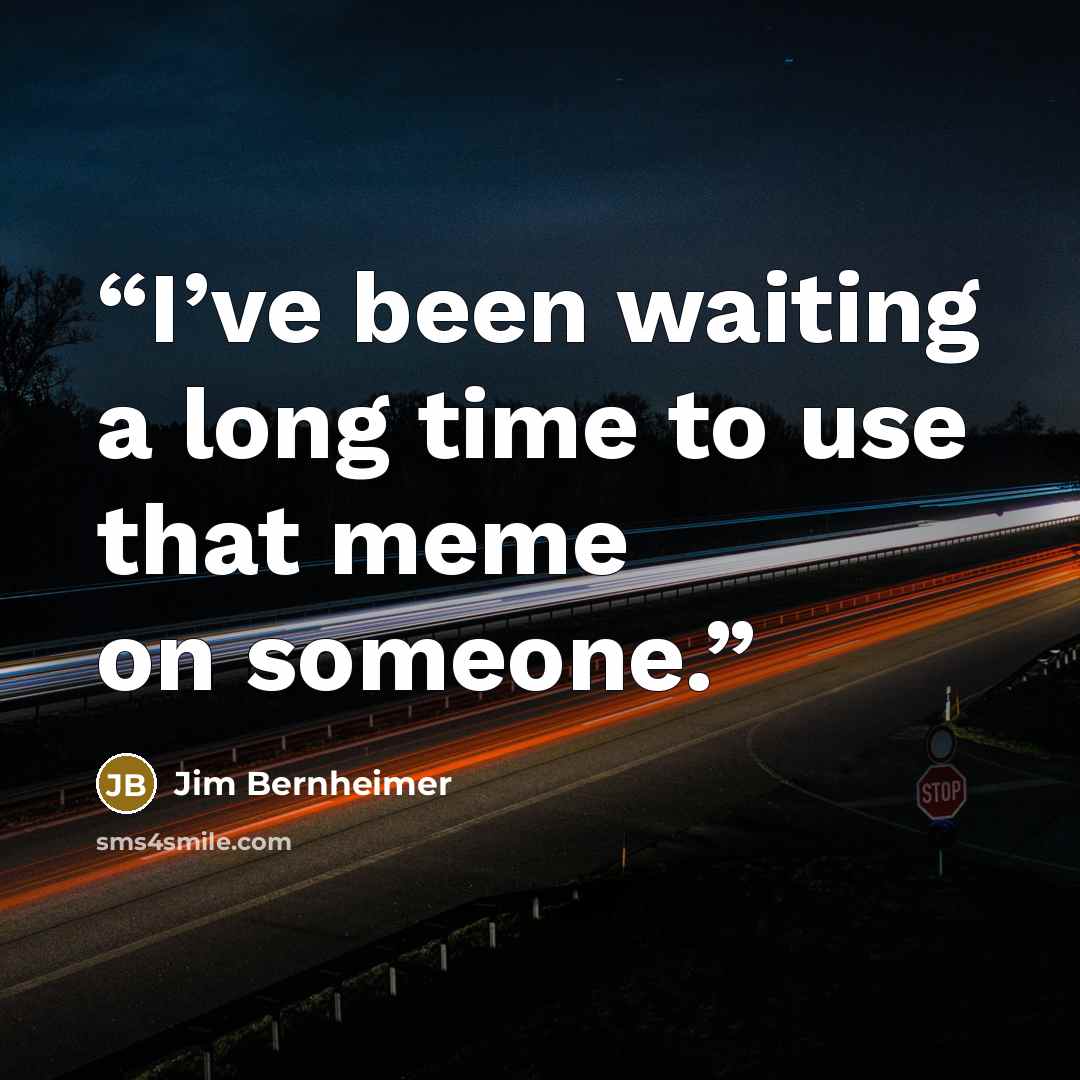 “I’ve been waiting a long time to use that meme on someone.” quote by Jim Bernheimer