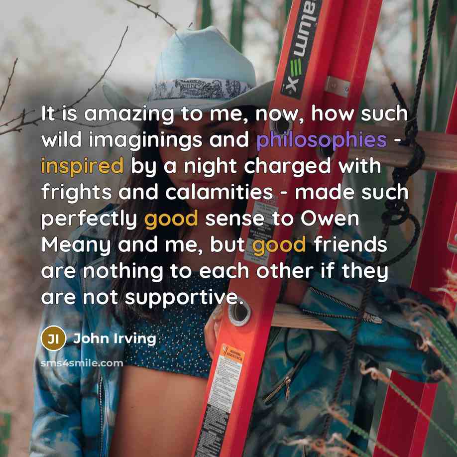 “It is amazing to me, now, how such wild imaginings…” quote by John Irving