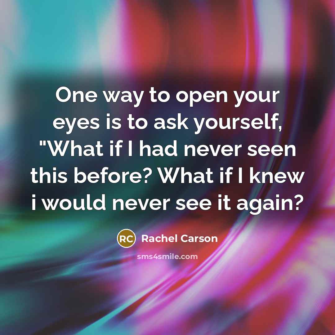 “One way to open your eyes is to ask yourself,…” quote by Rachel Carson