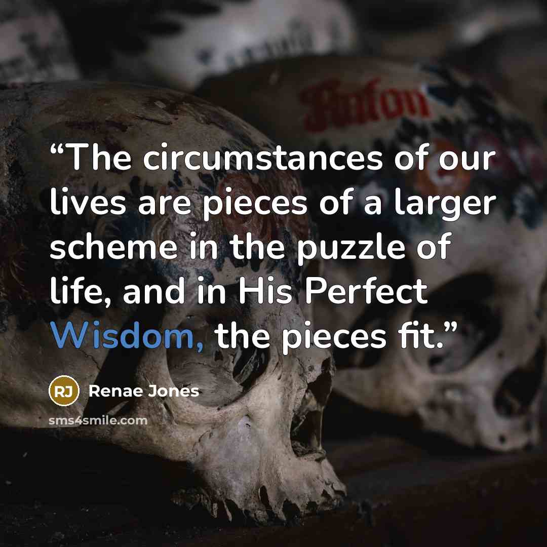 “The circumstances of our lives are pieces of a larger scheme in the puzzle of life, and in His Perfect Wisdom, the pieces fit.” quote by Renae Jones