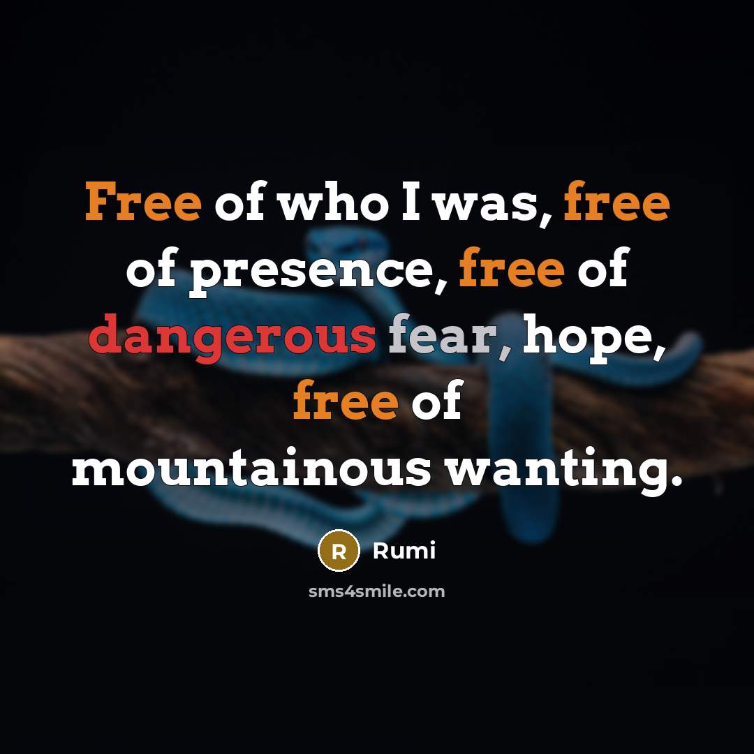 “Free of who I was, free of presence, free of…” quote by Rumi